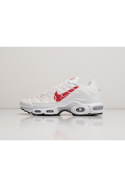 Кроссовки Nike Air Max Plus TN