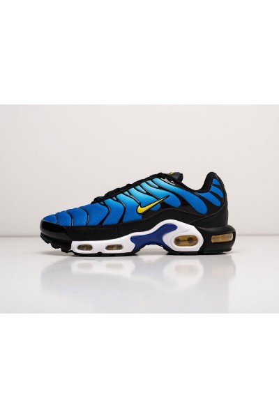 Кроссовки Nike Air Max Plus TN