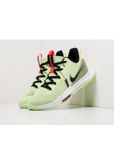 Кроссовки Nike Lebron Witness V