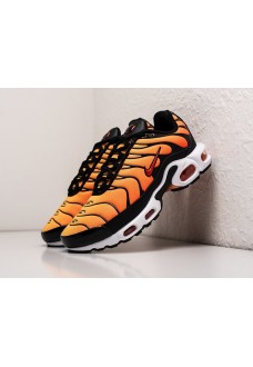 Кроссовки Nike Air Max Plus TN